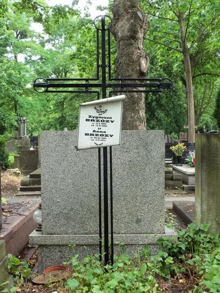 Zdjęcie grobu Anna Brzózy (2)