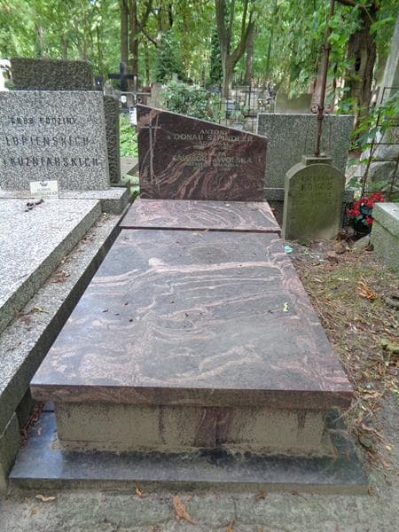 Zdjęcie grobu Konrad A'donau-Szpindler (1)
