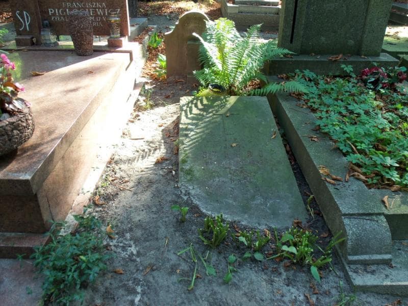 Zdjęcie grobu: Jan Struss
