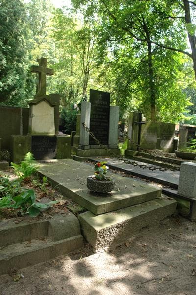 Zdjęcie grobu Zofia Trąmpczyńska (1)