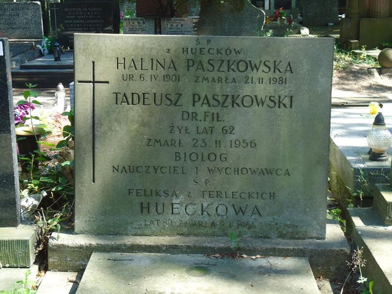 Zdjęcie grobu Tadeusz Paszkowski (2)