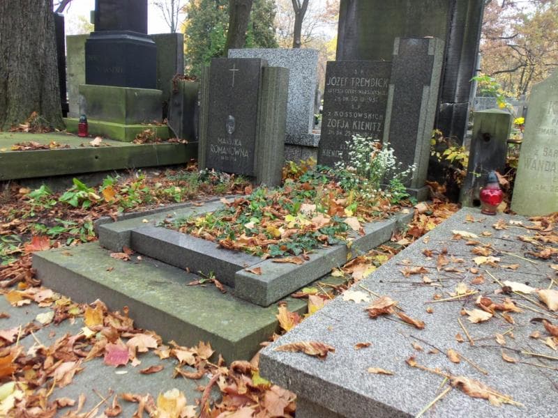 Zdjęcie grobu Józef Trembicki (1)