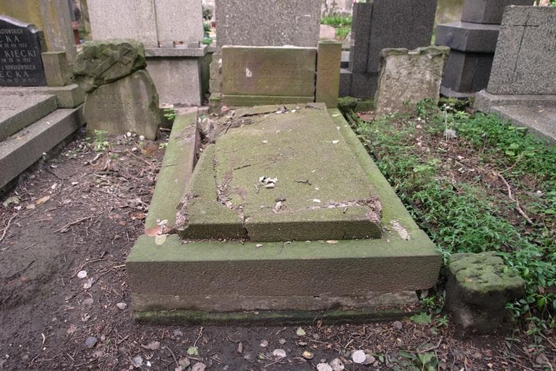 Zdjęcie grobu Aleksander Strzelecki (1)