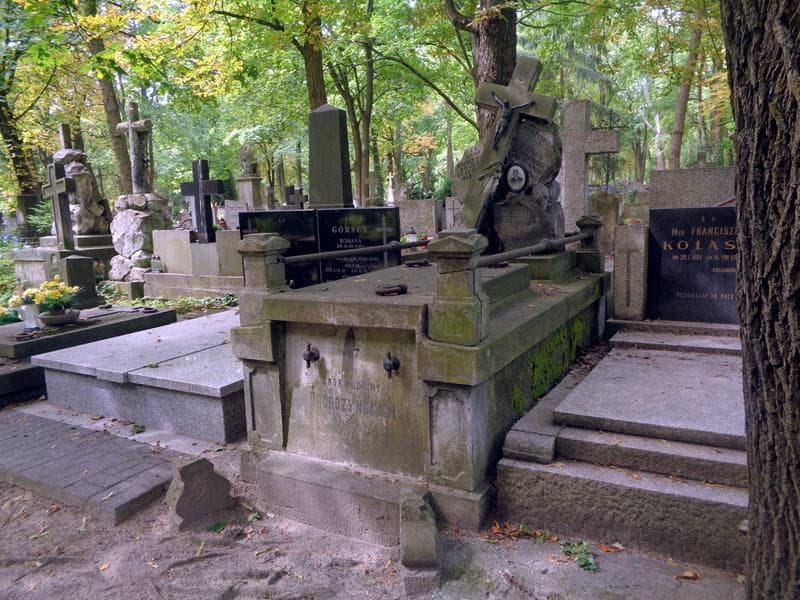 Zdjęcie grobu: Eleonora Drobczyńska