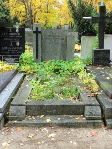 Zdjęcie grobu: Aleksander Jabłonowski
