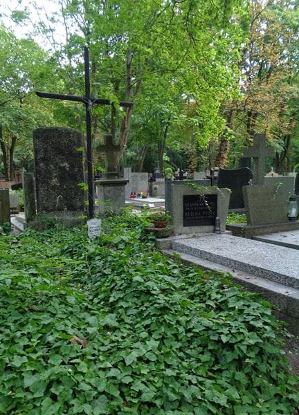 Zdjęcie grobu: Aleksandra Trzcińska