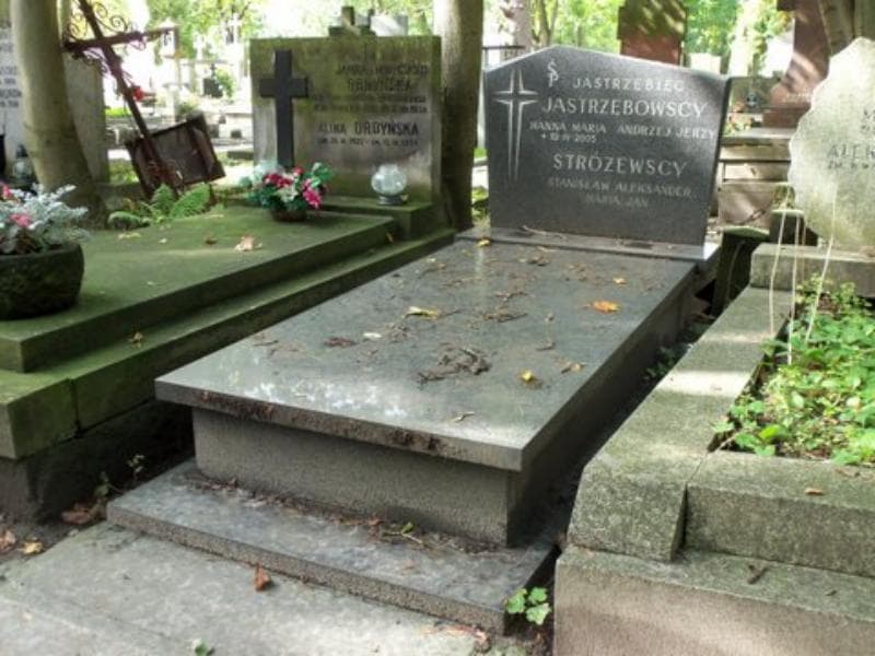 Zdjęcie grobu Strużewscy (1)