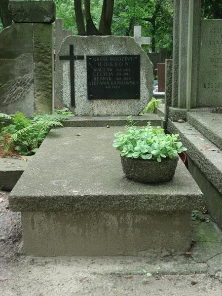 Zdjęcie grobu: Wacław Rosłoń