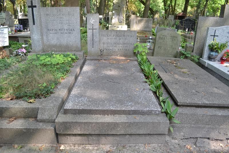 Zdjęcie grobu Waldemar Maurycy Podkowiński (1)