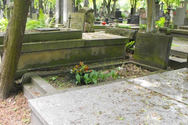 Zdjęcie grobu: Józef Piasecki