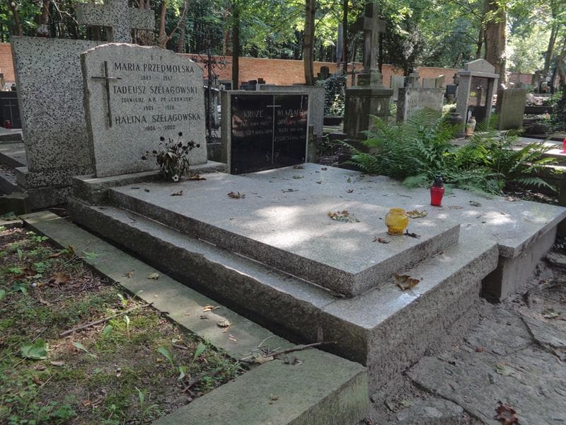 Zdjęcie grobu: Tadeusz Szelągowski
