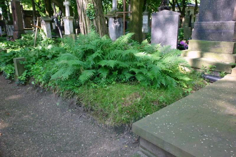 Zdjęcie grobu: Pole Grobowe