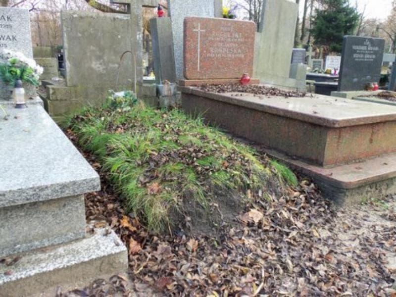 Zdjęcie grobu Zofia Sałek (1)