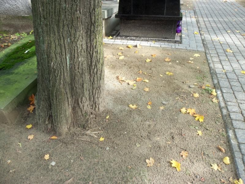 Zdjęcie grobu Pole Grobowe (1)
