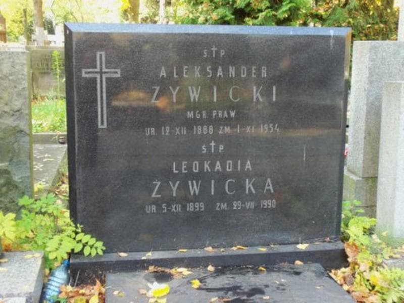 Zdjęcie grobu Aleksander Żywicki (2)