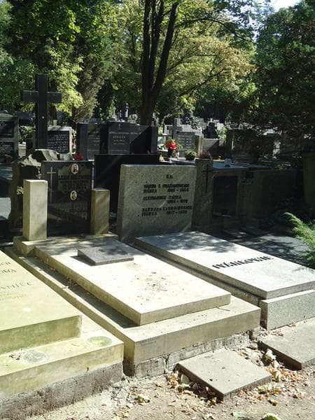 Zdjęcie grobu Stanisław Dolewski (1)