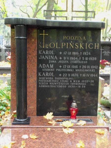 Zdjęcie grobu Karol Olpiński (2)