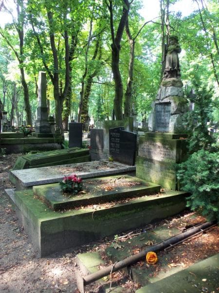 Zdjęcie grobu Helena Focht-Krancowa (1)