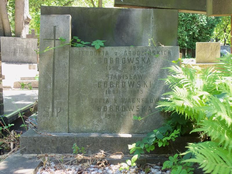 Zdjęcie grobu Stanisław Bobrowski (2)