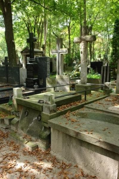 Zdjęcie grobu Wiktor Żyszkowski (1)