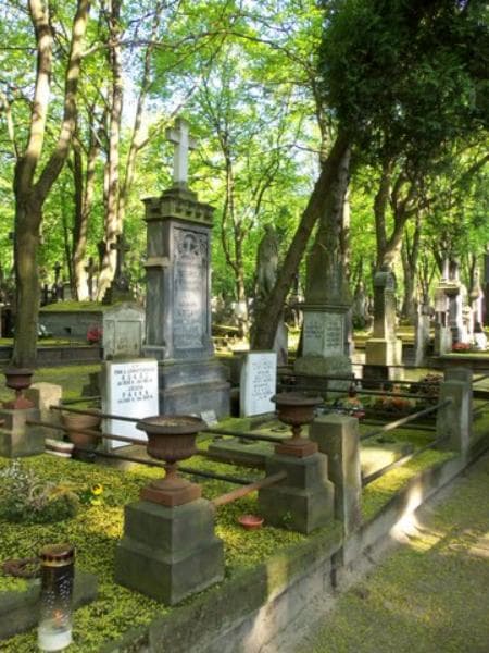 Zdjęcie grobu Józefa Pałka (1)