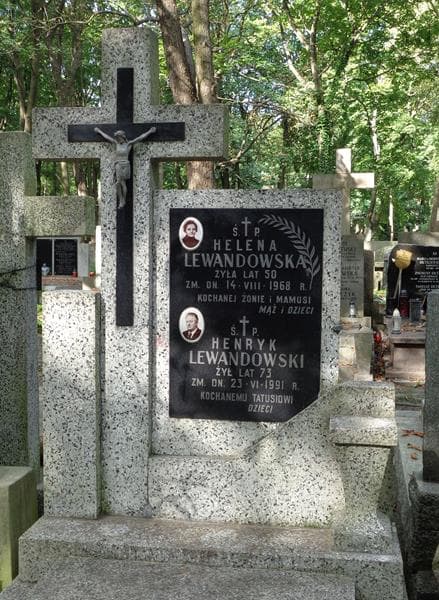 Zdjęcie grobu Henryk Lewandowski (2)