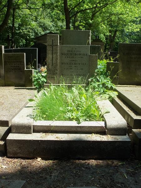 Zdjęcie grobu: Józef Nikonorow