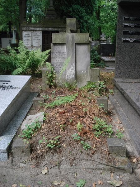 Zdjęcie grobu Eleonora Białosiewicz (1)