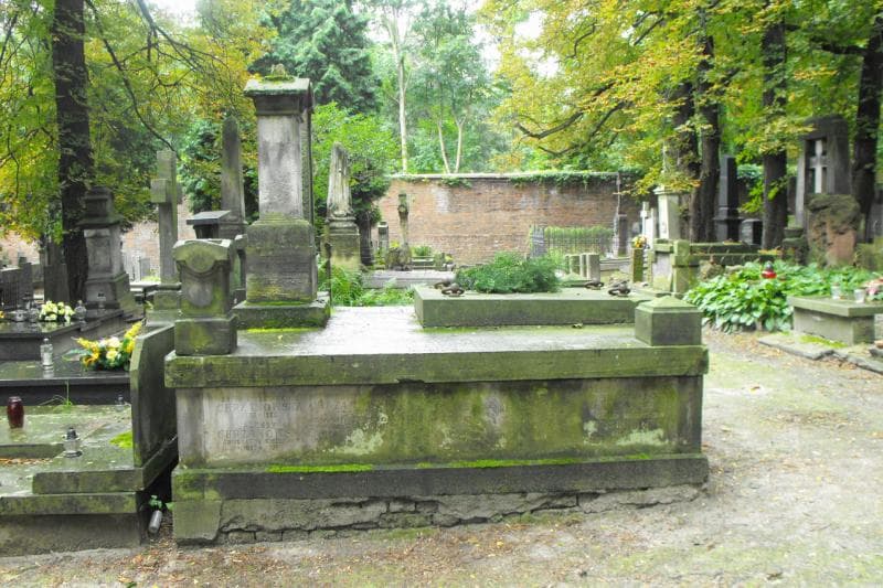 Zdjęcie grobu Aleksy Chrzanowski (1)