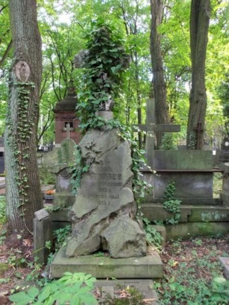 Zdjęcie grobu Karol Guttner (2)