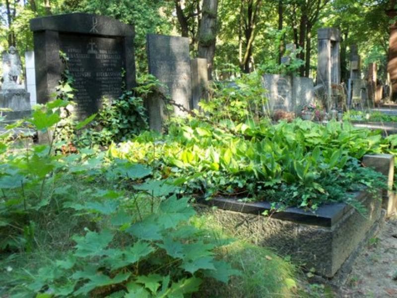 Zdjęcie grobu Witold Chwalewik (1)