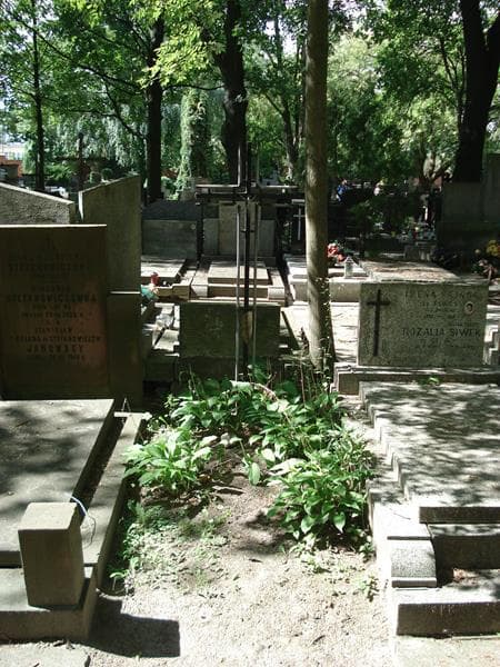 Zdjęcie grobu: Marcela Mikusińska