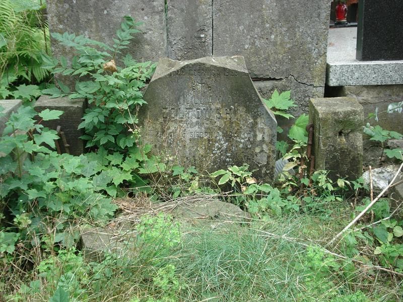 Zdjęcie grobu Juljan Żółtowski (2)