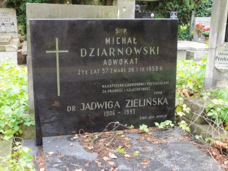 Zdjęcie grobu Michał Dziarnowski (2)
