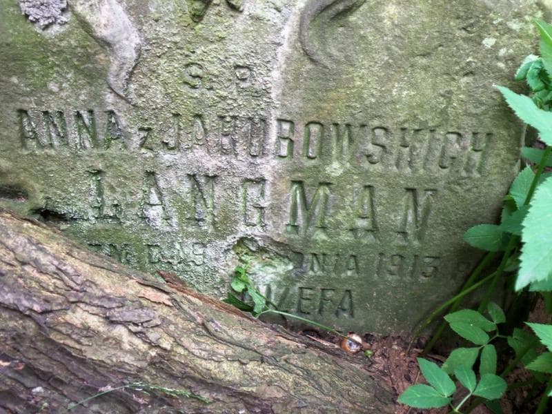 Zdjęcie grobu Anna Langman (2)