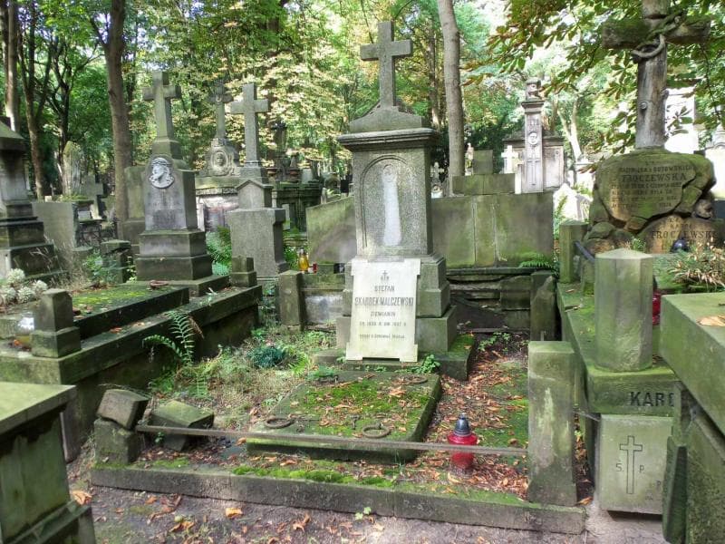 Zdjęcie grobu: Kazimierz Wyczałkowski