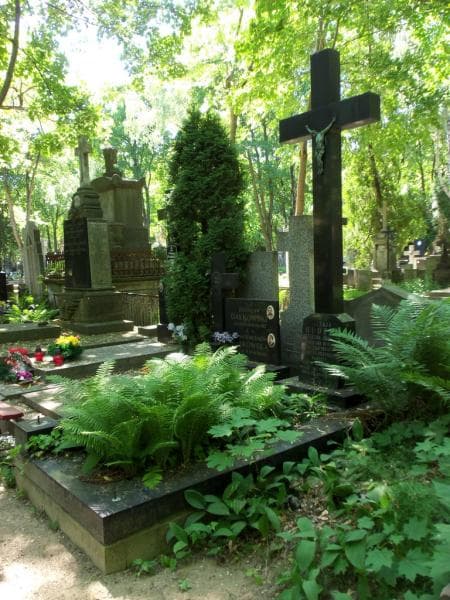 Zdjęcie grobu Józef Rudzki (1)