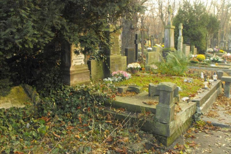 Zdjęcie grobu Leon Dohm (1)