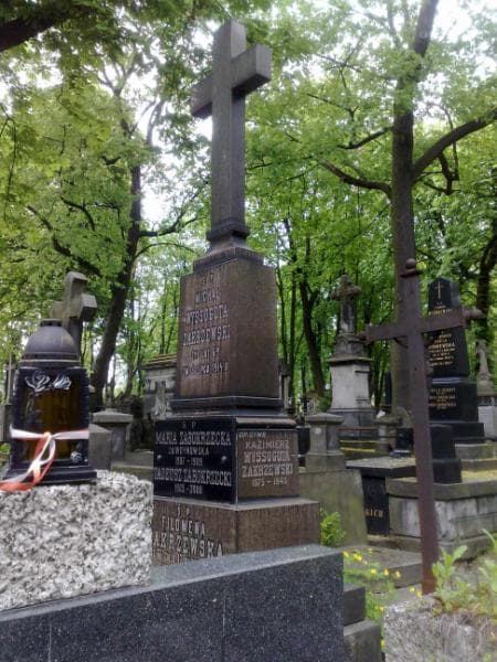 Zdjęcie grobu Michał Wyssogota - Zakrzewski (2)