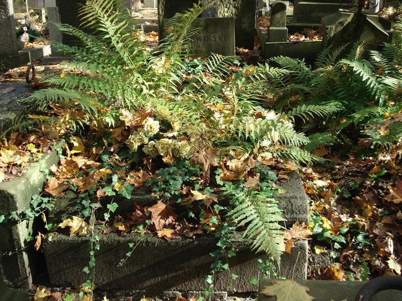 Zdjęcie grobu: Józef Czerwiński