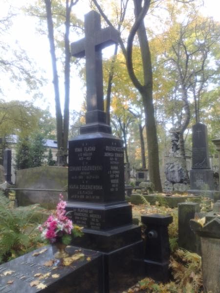 Zdjęcie grobu Franciszek Flatau (1)