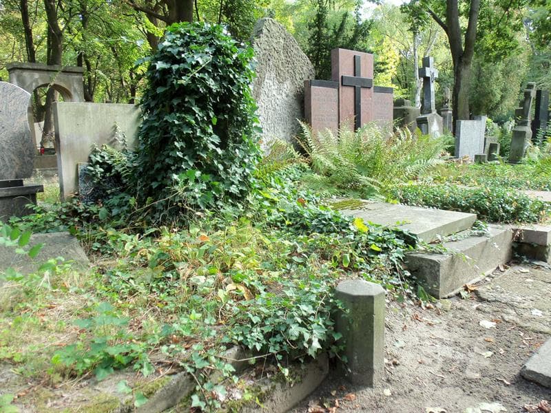 Zdjęcie grobu Stanisław Dereń (1)
