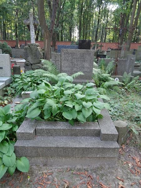 Zdjęcie grobu Władysława Stępkowska (1)