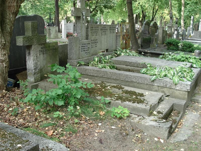 Zdjęcie grobu: Matylda Trojanowska