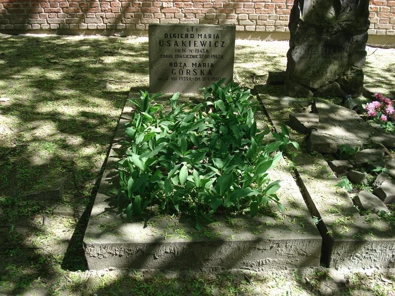 Zdjęcie grobu: Róża Maria Górska