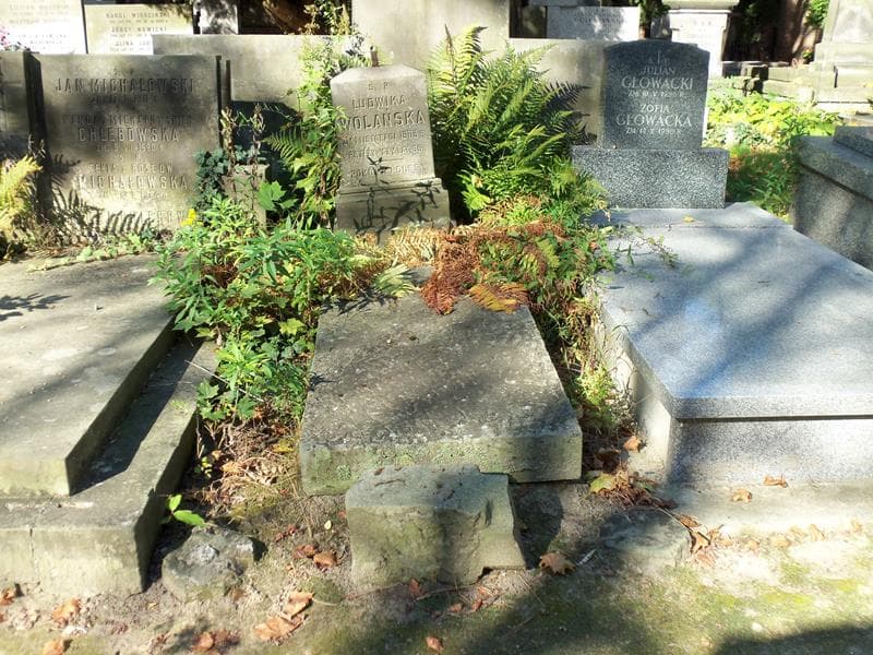Zdjęcie grobu: Ludwika Wolańska