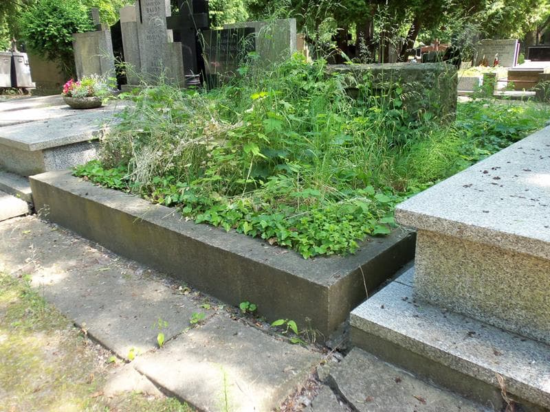 Zdjęcie grobu Paulina Zofia Lauer-Eitlowa (1)