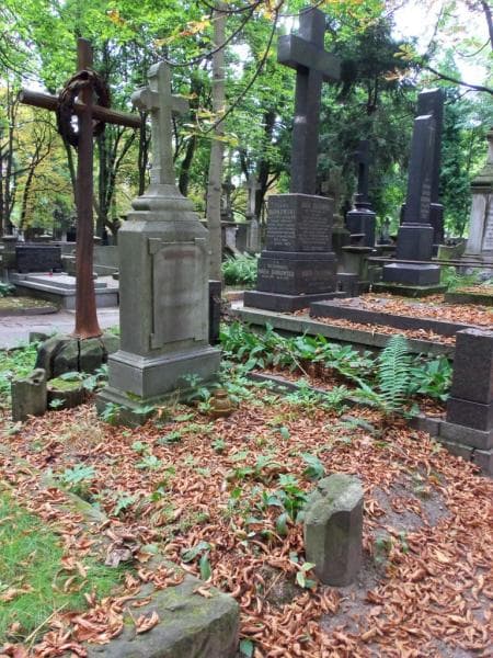 Zdjęcie grobu Manefeld (1)