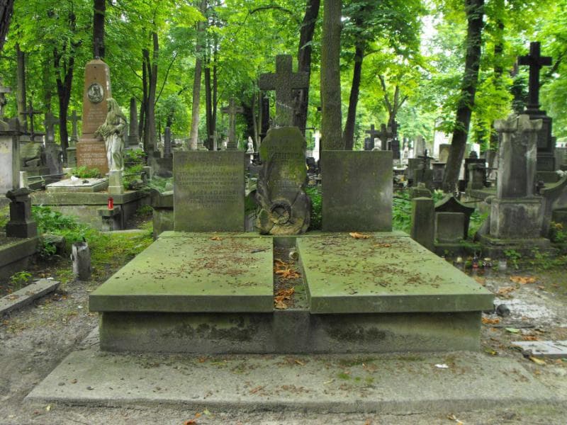 Zdjęcie grobu: Karol Pomian Srzednicki