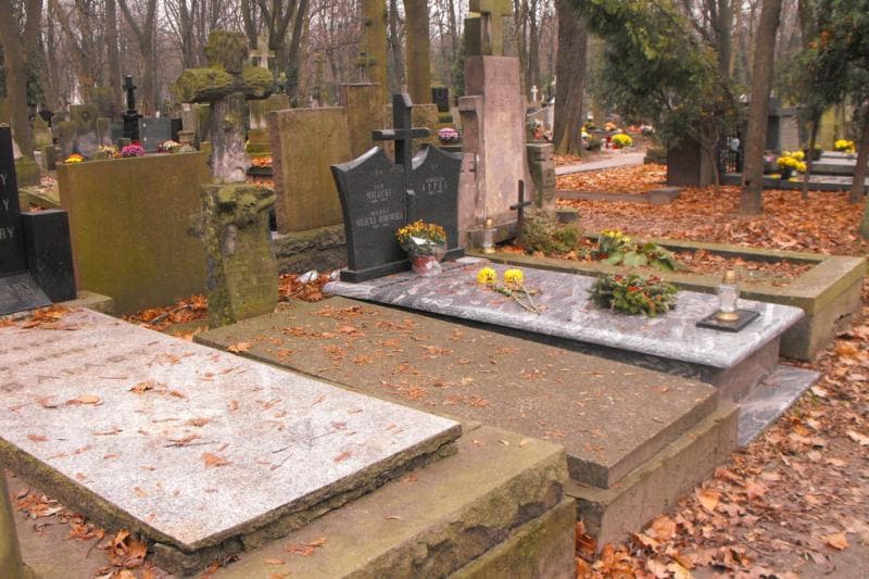 Zdjęcie grobu Lubomił Roman Kośmiński (1)